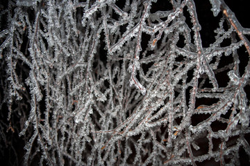 Зима / Winter