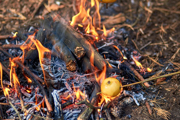 Burning fire. The bonfire burns in the forest. Texture of burning fire. Bonfire for cooking in the forest. Burning dry branches. Tourist fire in the forest. Eating on fire. Texture of burning branches