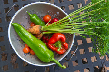Just Picked Organic Vegetables Still Crusty With Soil