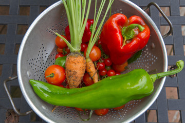 Soil Encrusted Garden Vegetables, Just Picked