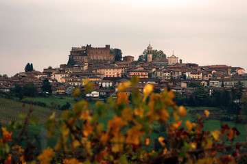 Obraz premium The town of Montemagno with the castle and his vineyards (Asti area, Monferrato, Piedmont, Northern Italy)