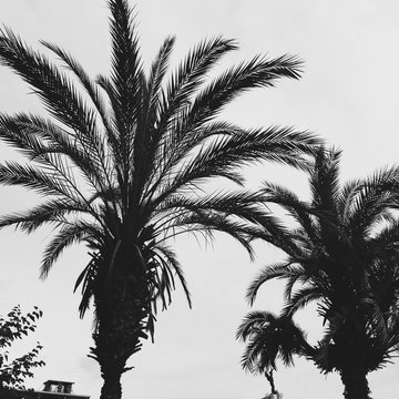 Processed with Rookie Cam Processed with VSCO with b5 preset