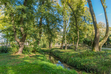 image of trees and a small stream on a sunny autumn day in Voerendaal South Limburg in the Netherlands Holland