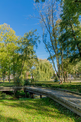 wooden walkway in the park on a beautiful sunny autumn day in Voerendaal South Limburg in the Netherlands Holland