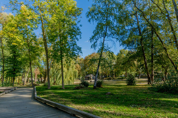 wooden walkway in the park on a sunny autumn day in Voerendaal South Limburg in the Netherlands Holland