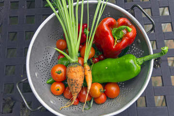 Raw, Dirty, and Fresh Organic Vegetables