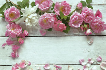 Roses with petals  on wooden background 