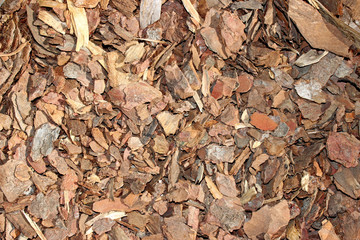 Garden wood chips bark pieces detail close up