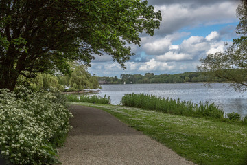 Pedestrian path between green grass in public park with lake with calm water and leafy trees in background against blue sky and white clouds, cloudy day in Rotterdam city, South Holland, Netherlands