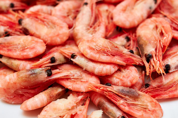 Shrimp. Shrimps lie on a plate. Boiled ready-to-eat shrimp. A large dish of small shrimps.