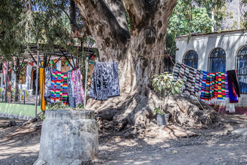 Street sale of multicolored Mexican serapes hanging in a loop next to a huge tree trunk with a building in the background, variety of colors and textures, sunny day in Chapala, Jalisco Mexico