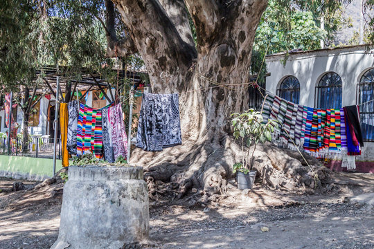 Street sale of multicolored Mexican serapes hanging in a loop next to a huge tree trunk with a building in the background, variety of colors and textures, sunny day in Chapala, Jalisco Mexico