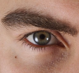 close up of human eye green 