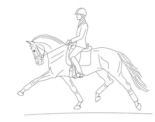 Vector illustration of a dressage rider on a horse.