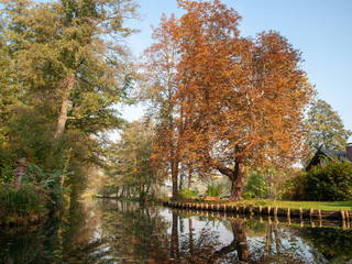 Herbst im Spreewald