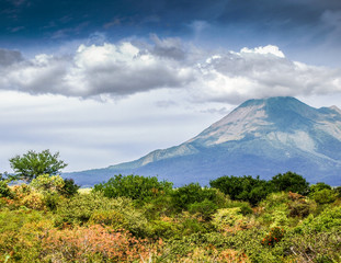 Fototapeta premium Mexican landscape with a hill with green vegetation and the Colima volcano in the background, sunny day with a blue sky and abundant clouds in the state of Jalisco Mexico
