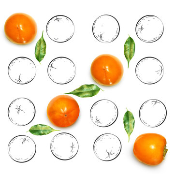 Fruit composition with fresh persimmon and cartoon cute doodle drawing elements on white background. Creative minimalistic food concept.