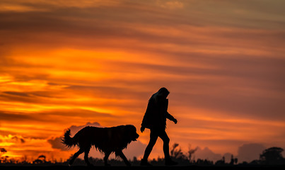 Walking the dog in golden hour