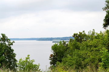 Panoramic view of the river and trees against a gray sky on a cloudy day. Natural background