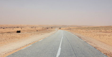 sahara desert © Grzegorz Marcinek