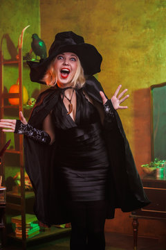 Picture of happy witch in black hat, dress on background of rack with pumpkin and crow