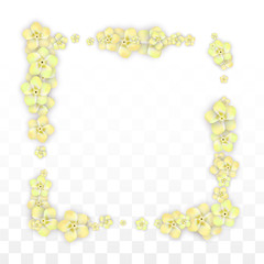 Vector Realistic Yellow Flowers Falling on Transparent Background.  Spring Romantic Flowers Illustration. Flying Petals. Sakura Spa Design. Blossom Confetti. Design Elements for Wedding Decoration.