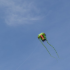Kite flying up in the blue sky