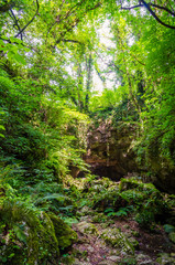 Enter to the Prometheus ( Kumistavi) Cave in the Imereti region, Georgia