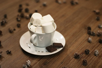 Obraz na płótnie Canvas cocao in small coffe cup with marshmallows and chocolat in winter decoration. Winter drink