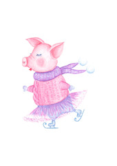 Watercolor beauty skating pig in knitted sweater, tutu and scarf isolated on white background