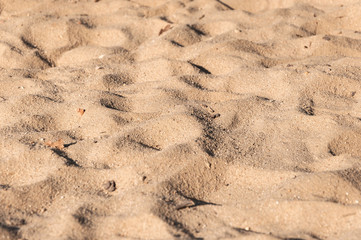 Sand I