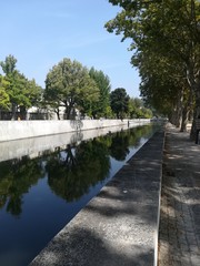 Mirrored trees in river water
