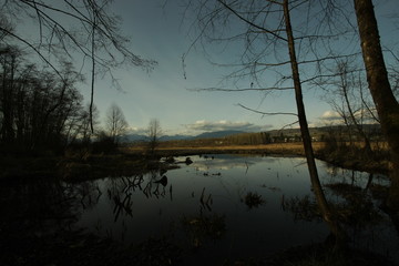 sunset on the bog