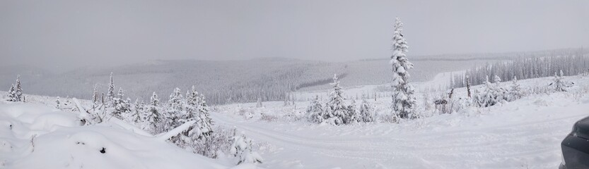 Winder wonderland