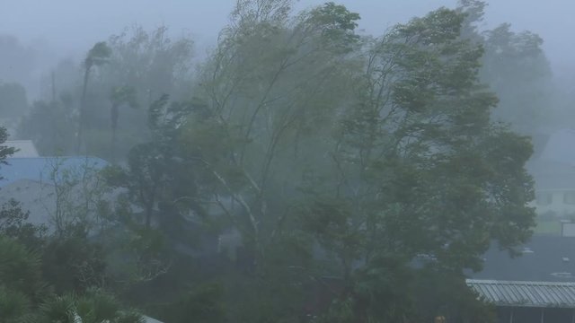 Hurricane Michael 2018 Panama City Beach, Florida