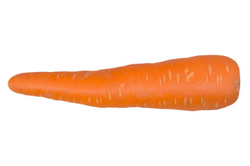 Single fresh beautiful red carrot on white background with clipping path