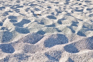 Obraz premium Katsurahama Beach, Kochi Prefecture Japan