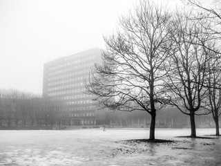 Blindern, Oslo on a gray foggy day