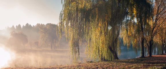 Fototapeten autumn foggy morning in the city park © gluuker