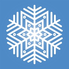 Snowflake. Winter icon. Vector illustration.