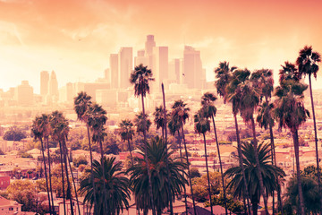 Magnifique coucher de soleil à travers les palmiers, Los Angeles, Californie.