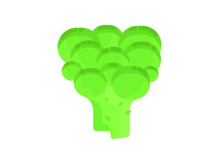Broccoli. Flat illustration of broccoli vector icon isolated on white background.