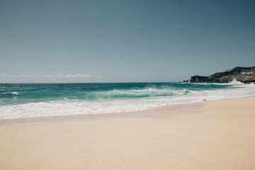 Fototapeta na wymiar Sandy beach in Oahu at a sunny day
