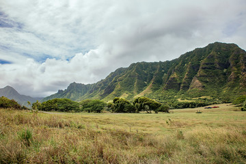 Kualoa ranch landscape view