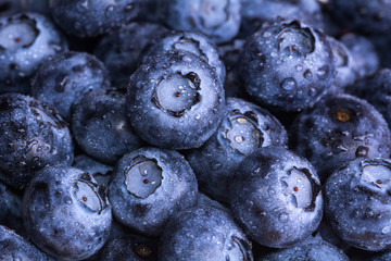 Fresh ripe blueberries with drops of dew. Berry background. Macro photo