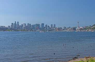 City Skyline from a City Park