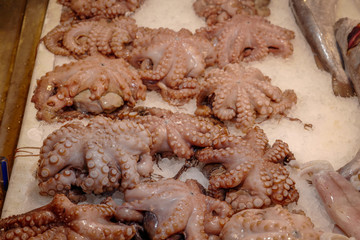 fresh octopus at the fish markets, Athens