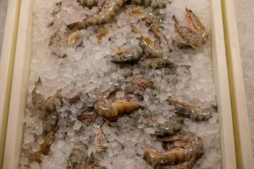 fish markets, fresh green prawns