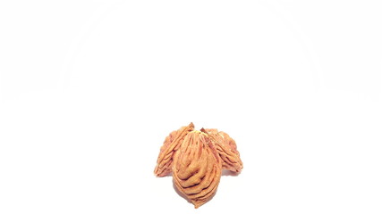 Obraz premium Fruit Pits on White Background. Nectarine Peach Seeds. Art and Craft.