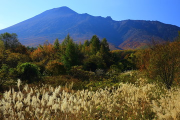 Fototapeta premium 秋の岩手山
